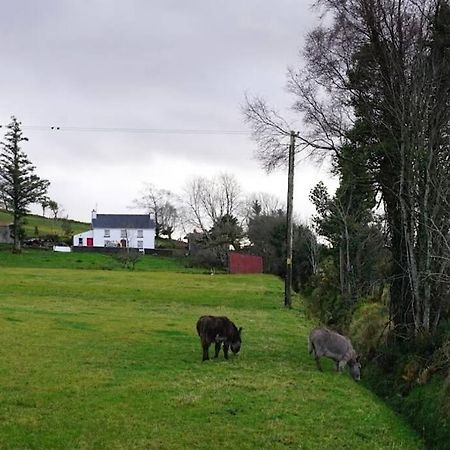 Donegal Town Meenadreen Cottage מראה חיצוני תמונה