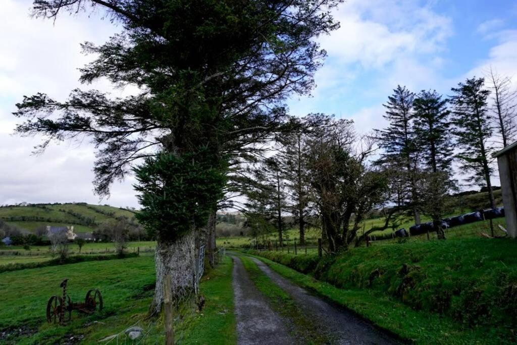 Donegal Town Meenadreen Cottage מראה חיצוני תמונה