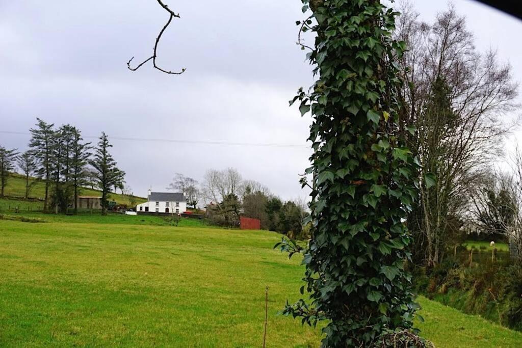 Donegal Town Meenadreen Cottage מראה חיצוני תמונה