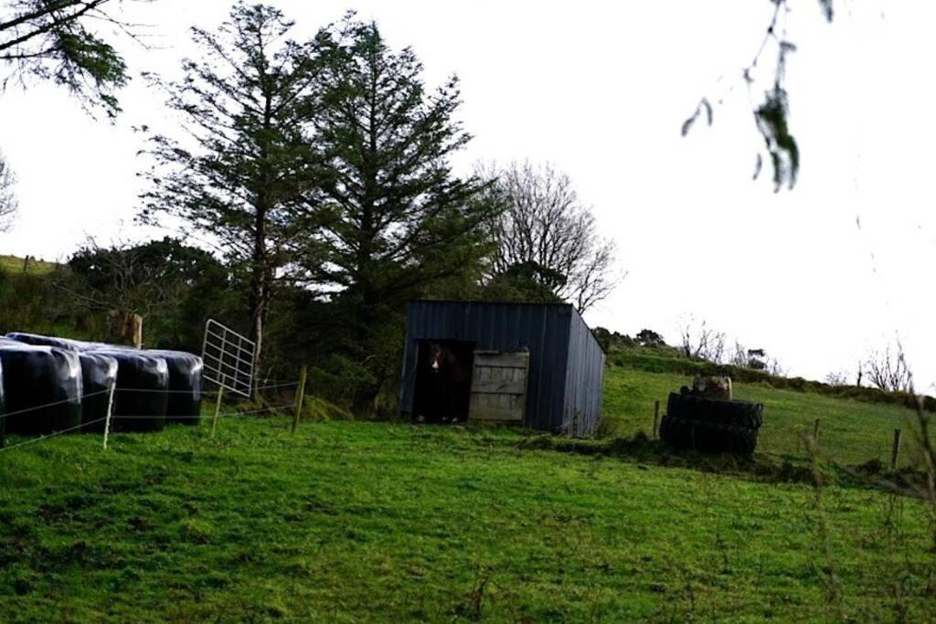 Donegal Town Meenadreen Cottage מראה חיצוני תמונה