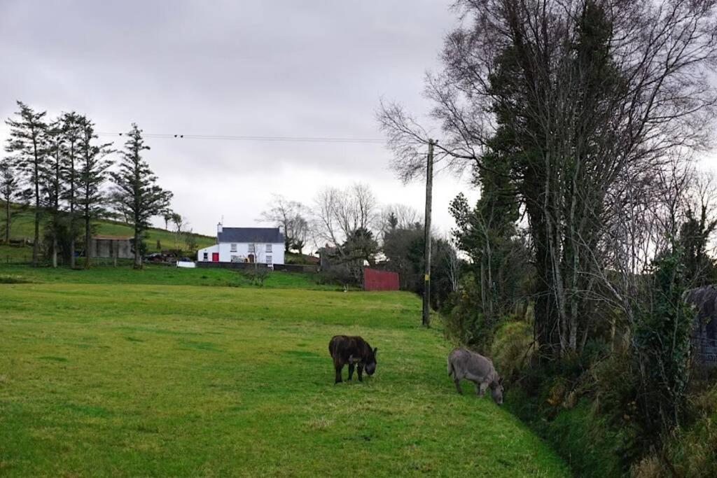 Donegal Town Meenadreen Cottage מראה חיצוני תמונה